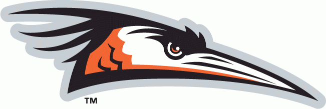 Delmarva Shorebirds 2010-Pres Primary Logo iron on heat transfer